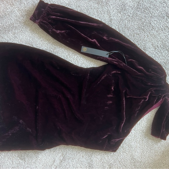 House of Harlow 1960 x Revolve Morana velvet one sleeve dress - Picture 4 of 8